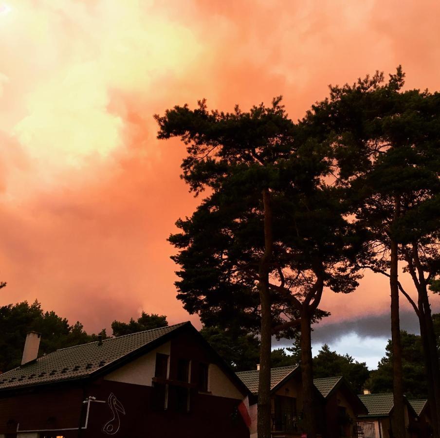 Pokoje Przy Plazy Dzwirzyno -Pelikan Resort Buitenkant foto