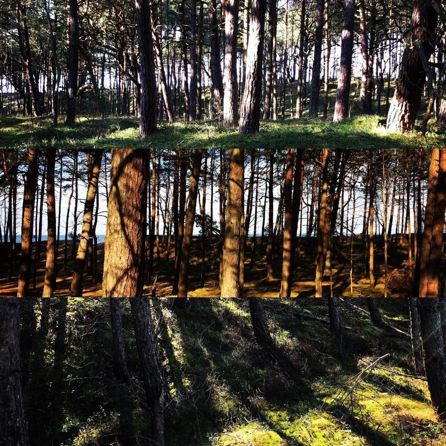 Pokoje Przy Plazy Dzwirzyno -Pelikan Resort Buitenkant foto